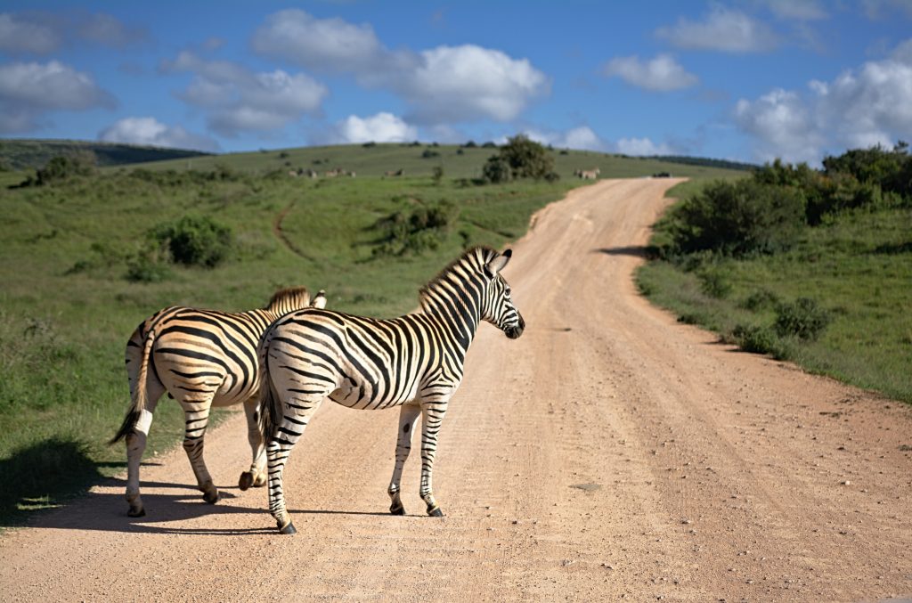 Réserve naturelle en Afrique du Sud