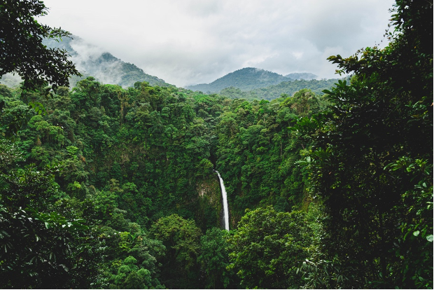 Costa Rica nature