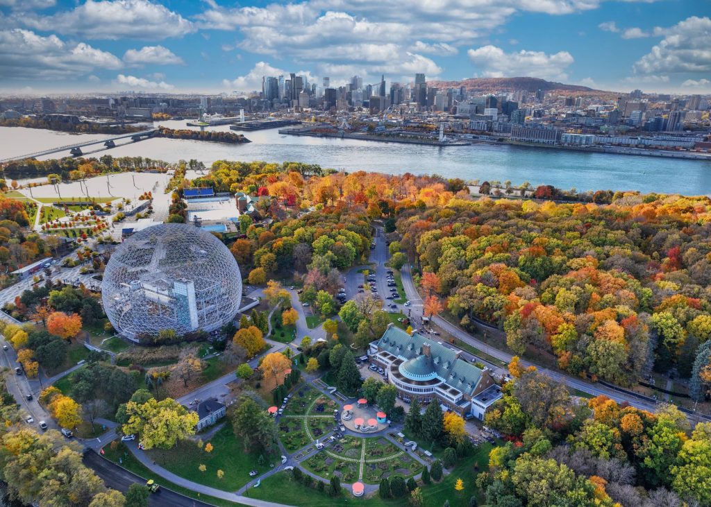 Paysage automnal du parc du Mont-Royal avec vue sur la ville.