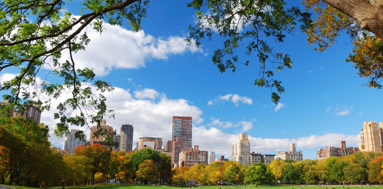 cours anglais voyage langue new york central park