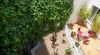 ecole clic voyage langue school_albareda_19_29_terrace_02