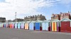 brighton uk town