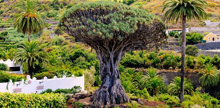 tenerife