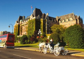 3 semaines de cours d'anglais standard