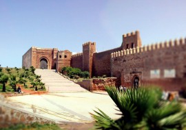 6 mois de cours d'arabe intensif