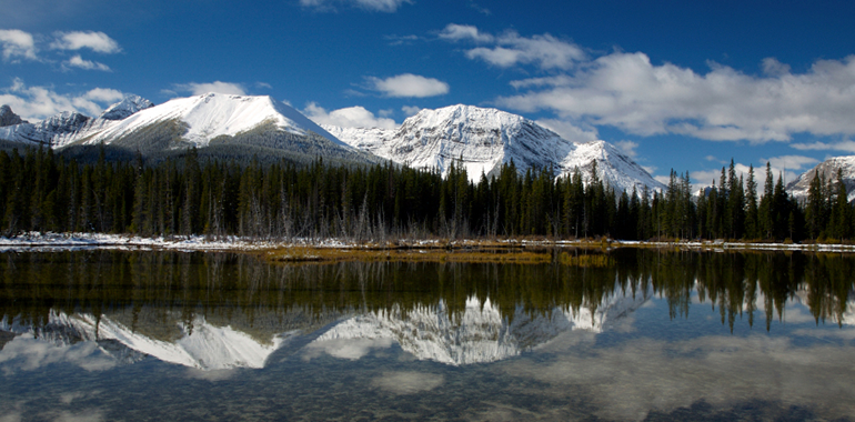 voyage linguistique ado a vancouver nature