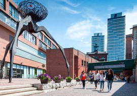 4 mois de cours d'anglais intensif