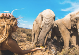 6 mois d'English Semester intensif