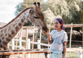 4 mois de cours d'anglais intensif