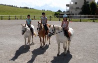 3 semaines d'anglais Junior 8 17 ans + Équitation