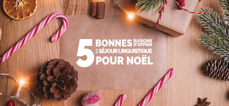5 bonnes raisons d'offrir un séjour linguistique pour Noël - Voyage Langue