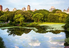 2 mois de cours d'anglais semi intensif