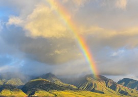 10 semaines de cours d'anglais standard + surf