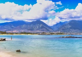 6 semaines de cours d'anglais intensif + surf