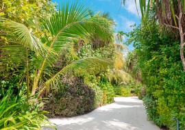 1 semaine de cours d'espagnol intensif