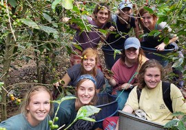 1 mois de cours d'espagnol + volontariat eco agriculture