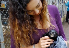 1 mois de cours d'espagnol + volontariat animaux