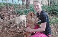 3 mois de cours d'espagnol + volontariat animaux