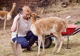 3 mois de cours d'espagnol + volontariat animaux