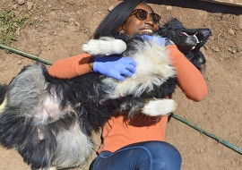 2 mois de cours d'espagnol + volontariat animaux