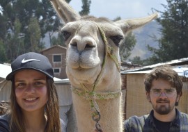 1 mois de cours d'espagnol + volontariat animaux