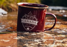 5 mois d'anglais + volontariat nature