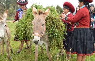 3 mois d'espagnol + volontariat immersion quechua