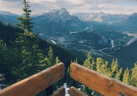 5 mois d'anglais + volontariat ranch