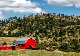 4 mois d'anglais + volontariat ranch
