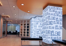 10 mois de cours d'anglais standard