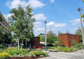 4 mois de cours d'anglais standard