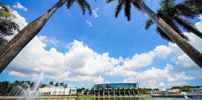 yes usa summercamp junior